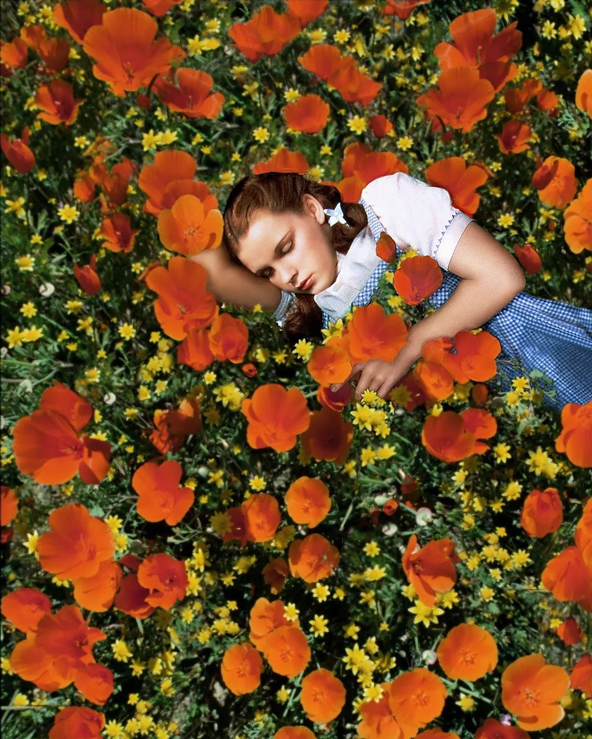 Джуди Гарленд, спящая в поле красных маков и желтых цветов