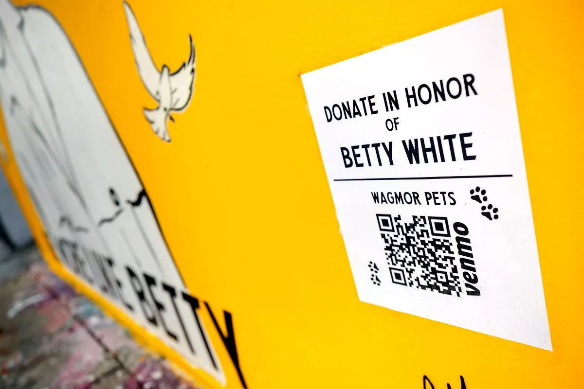 Штрих-код для пожертвования домашним животным на граффити «Будь больше похож на Бетти Уайт», фото 1