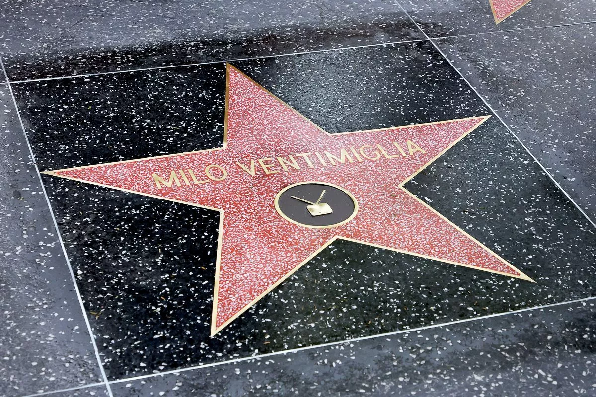 Звезда Майло Вентимильи на Голливудской Аллее славы