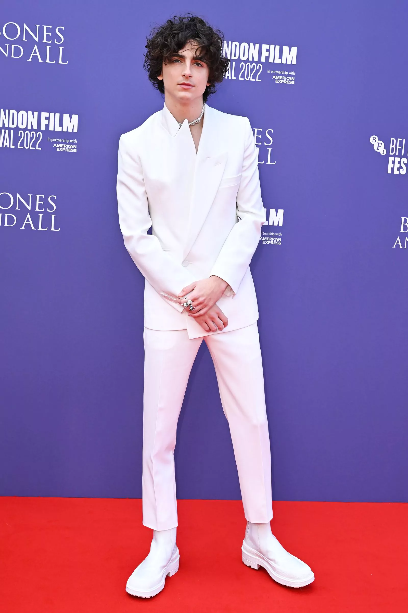 Тимоти Шаламе на красной дорожке фильма «Целиком и полностью» на 66-м Лондонском кинофестивале, 8 октября 2022 г., фото 1