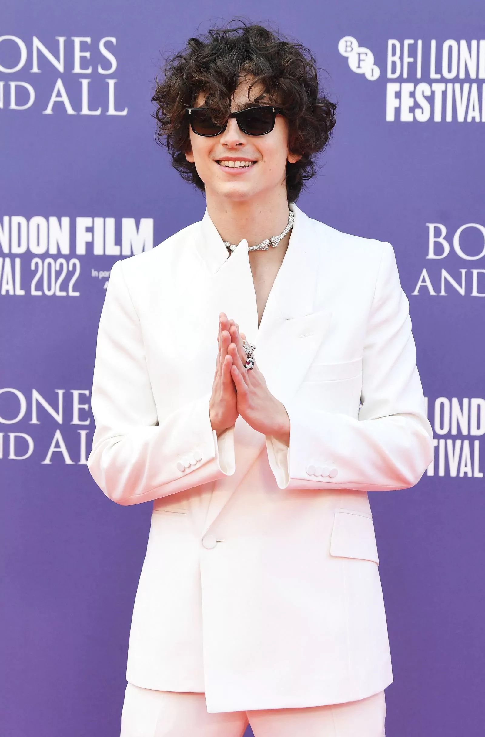 Тимоти Шаламе на красной дорожке фильма «Целиком и полностью» на 66-м Лондонском кинофестивале, 8 октября 2022 г., фото 3