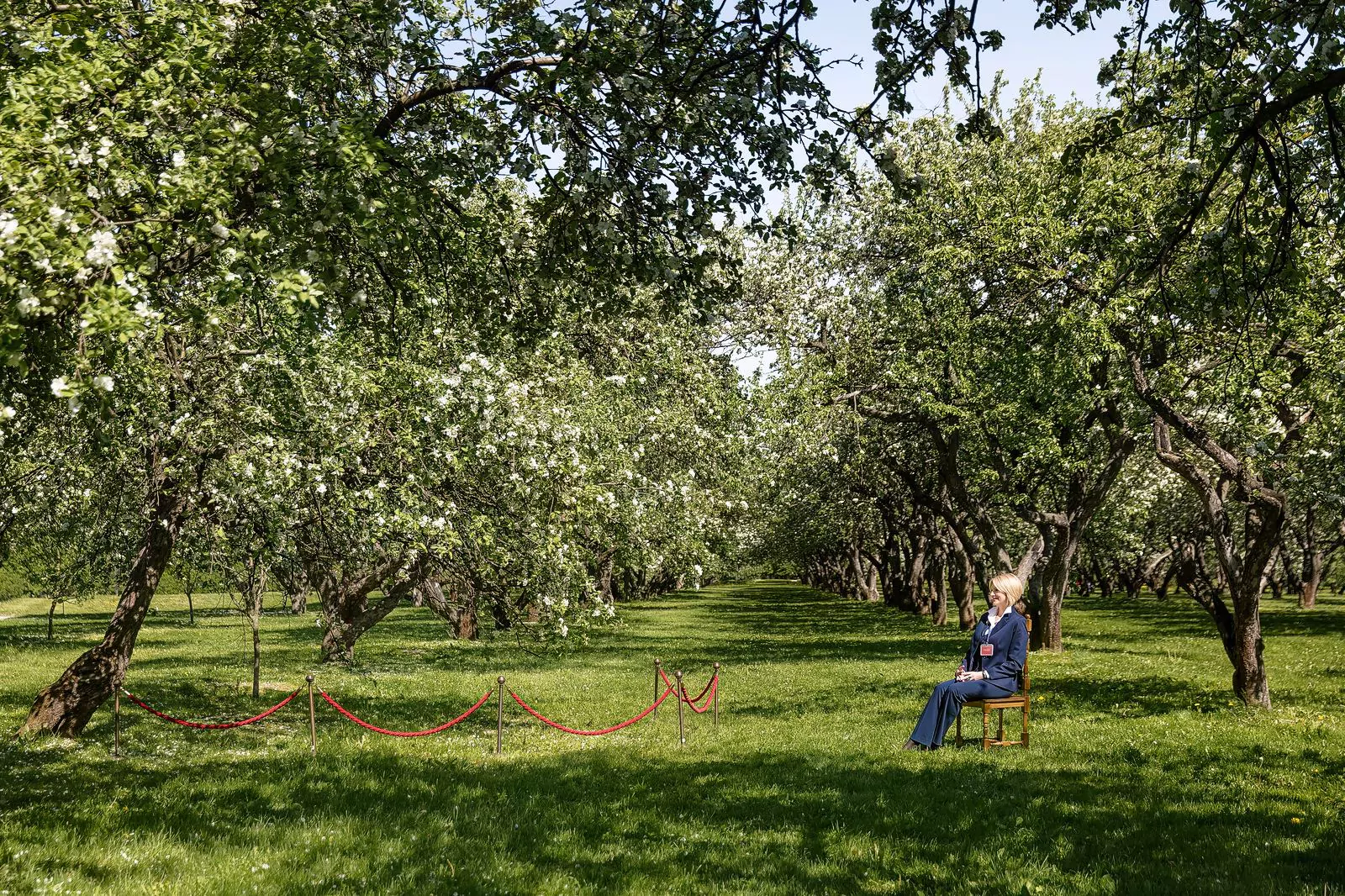 Фотопроект в честь яблоневых садов музея-заповедника «Коломенское», фото 1