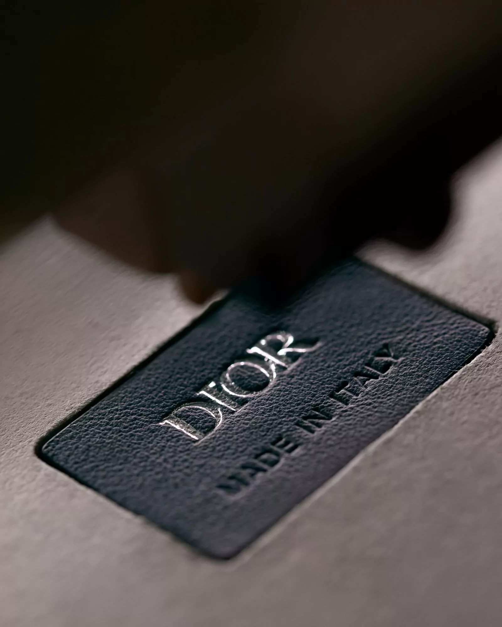 Новая мужская сумка-скарабей Dior Scarab, фото 2