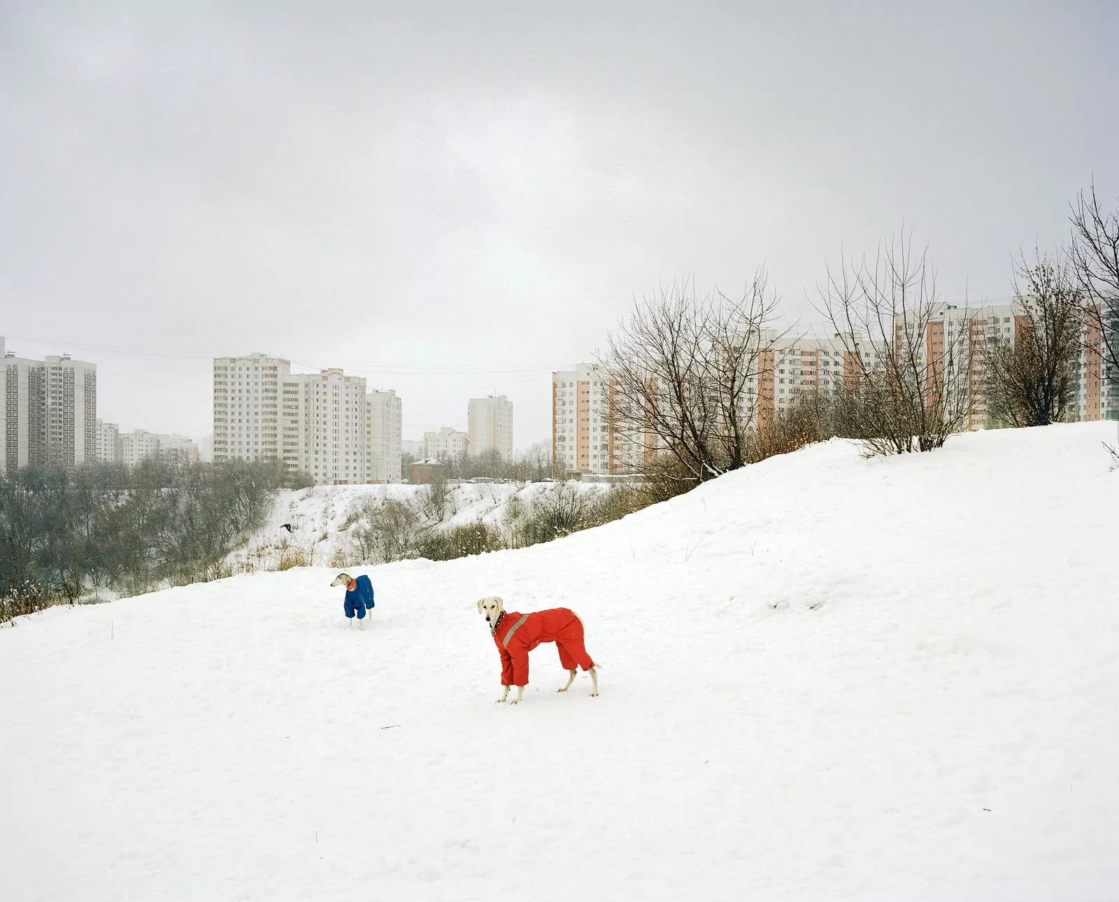 Выставка Зима, и всё опять впервые 2023-2024 Фонд культуры Екатерина Москва, фото 15