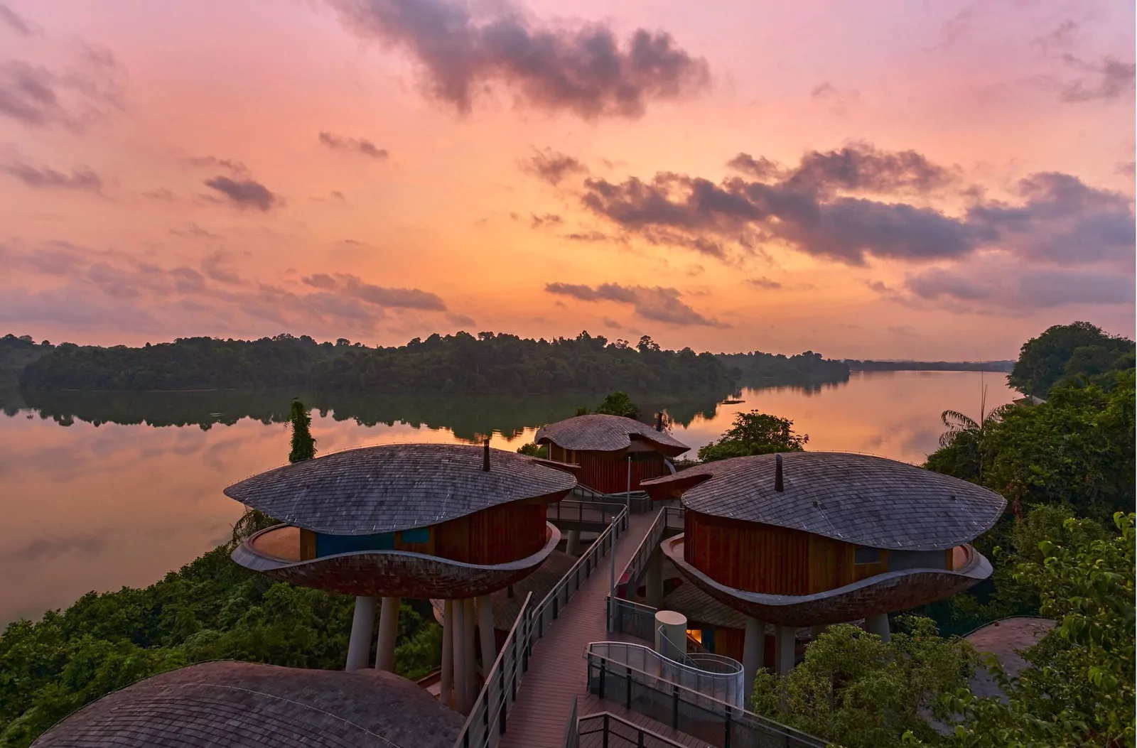 Новые отели Accor 2025: Mandai Rainforest Resort by Banyan Tree, Сингапур