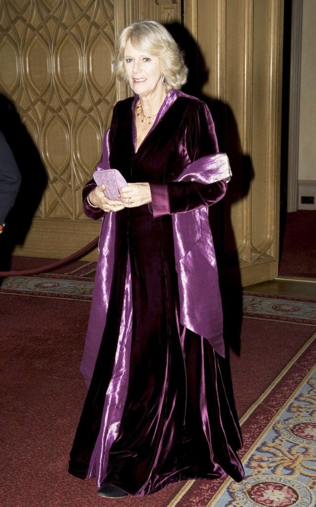 Камилла, герцогиня Корнуолльская на ужине для британской азиатской общины в Виндзорском замке, 15 ноября 2007 г.