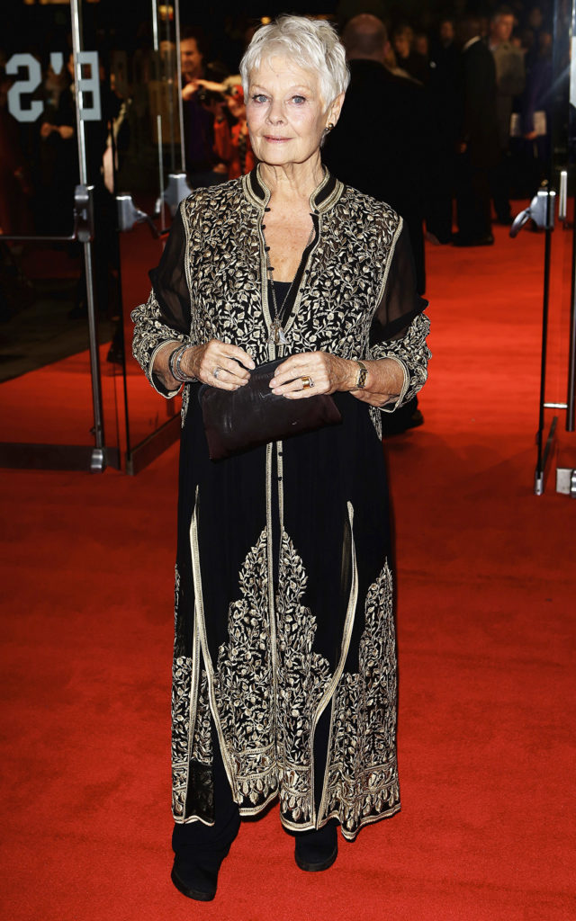 Джуди Денч на гала-показе American Express фильма «Филомена» в рамках 57-го Лондонского кинофестиваля BFI, 16 октября 2013 г.