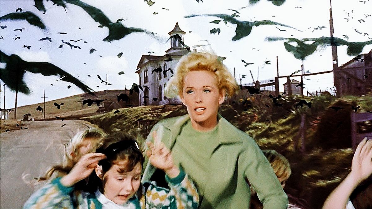 «Птицы», 1963, фото 2