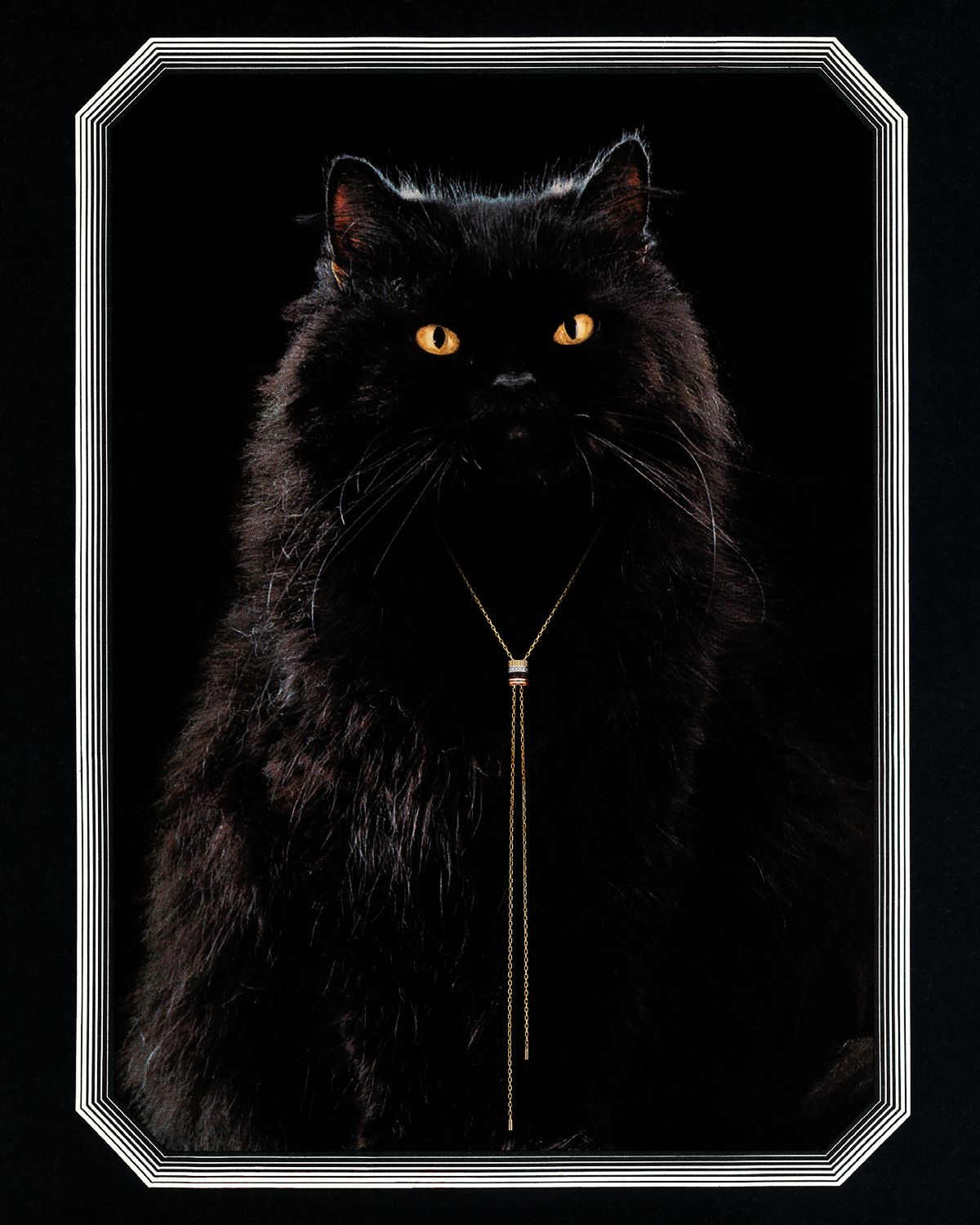 Прообраз знаменитого «Кота Владимира» стал героем рекламного постера Дома Boucheron.