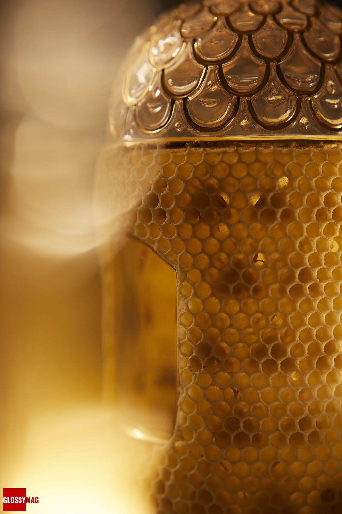 Дом Guerlain планирует собрать 1 миллион евро для защиты пчёл, фото 2