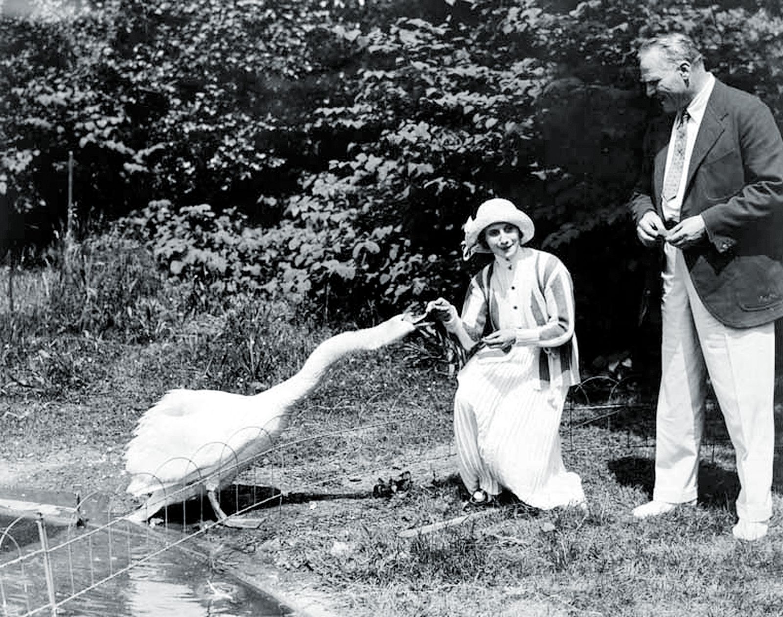 Анна Павлова со своим домашним лебедем Джеком